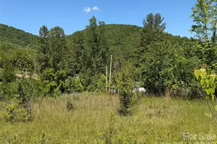 99999 S Morgan Branch Rd, Candler, NC 28715 - Photo 1