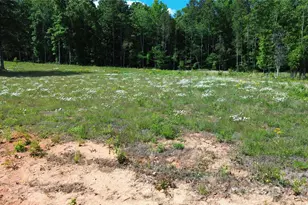 246 Elderberry Ln, Lexington, NC 27292 - Photo 1