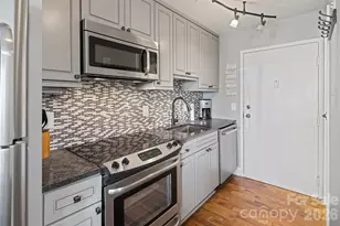 301 Pinnacle Inn Rd, Beech Mountain, NC 28604 - Photo 9