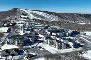301 Pinnacle Inn Rd, Beech Mountain, NC 28604 - Photo 43
