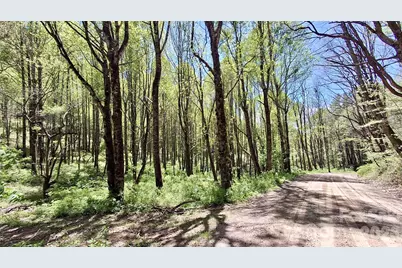0000 Cold Mountain Road, Highlands, NC 28741 - Photo 1