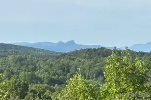 Tbd Vein Mountain Rd, Nebo, NC 28761 - Photo 1