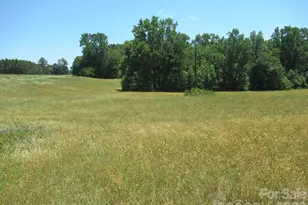 00 Dave Heafner Rd, Crouse, NC 28033 - Photo 1