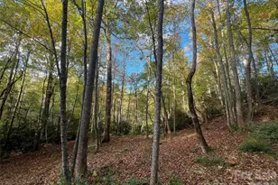 6 Dividing Ridge Tr, Arden, NC 28704 - Photo 1