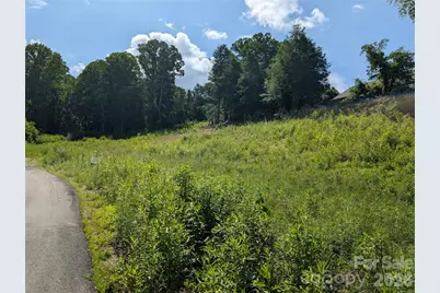 119 Randolph Avenue, Black Mountain, NC 28711 - Photo 1