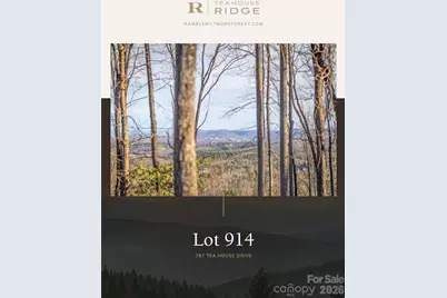 787 Tea House Drive #914, Asheville, NC 28803 - Photo 1