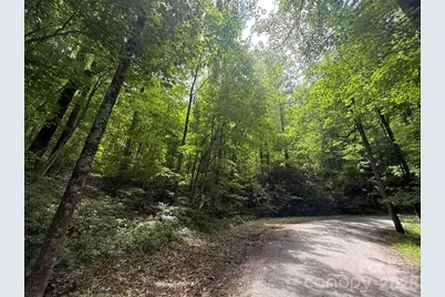 000 Summit Road #343, Tryon, NC 28782 - Photo 1