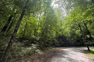 000 Summit Rd, Tryon, NC 28782 - Photo 1