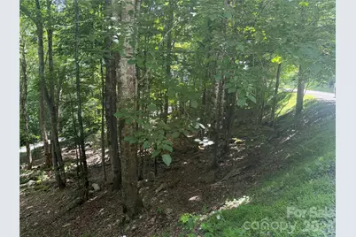 200 Wild Daisy Road #200, Beech Mountain, NC 28604 - Photo 1