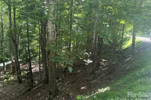 200 Wild Daisy Rd, Beech Mountain, NC 28604 - Photo 1