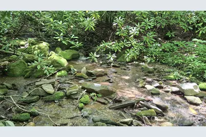0 Dry Creek Road, Robbinsville, NC 28771 - Photo 1