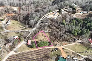 0 Benson Hollow Rd, Flat Rock, NC 28731 - Photo 1