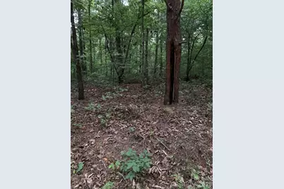 0 Ore Bank Road, Smyrna, SC 29743 - Photo 1