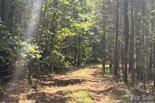 000 Thompson Lake Rd, Rutherfordton, NC 28139 - Photo 1
