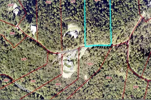 137 High Cliffs Trail, Black Mountain, NC 28711 - Photo 1