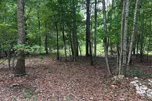 00 Wadeville Rd, Mount Gilead, NC 27306 - Photo 1