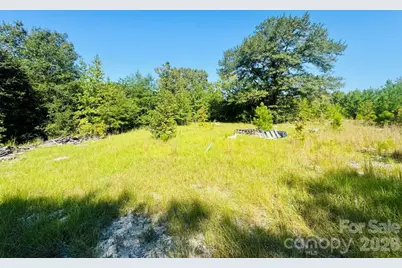 499 Mac Jowers Lane, Jefferson, SC 29718 - Photo 1