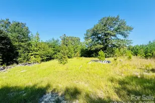 499 Mac Jowers Ln, Jefferson, SC 29718 - Photo 1