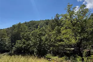 188 Velvis Hollifield Rd, Spruce Pine, NC 28777 - Photo 1