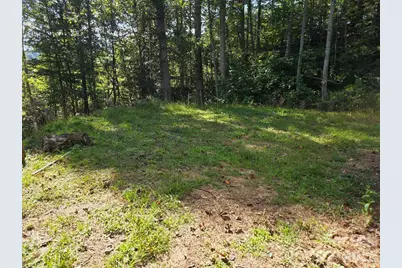 181 Poison Ivy Drive, Burnsville, NC 28714 - Photo 1