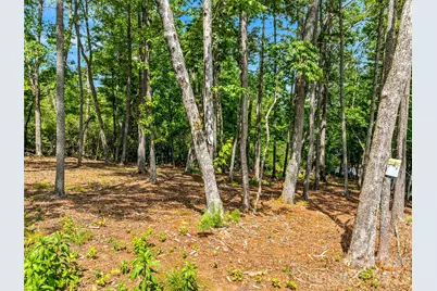 129 Powder Creek Trail, Arden, NC 28704 - Photo 1