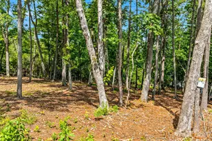 129 Powder Creek Trail, Arden, NC 28704 - Photo 1