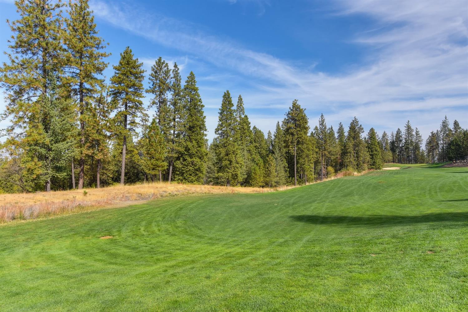 1721 The Point, Meadow Vista, CA 95722 MLS 18045067 Coldwell Banker