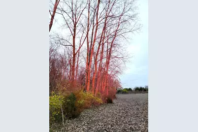 414 W Sparrow Road, Springfield, OH 45502 - Photo 1