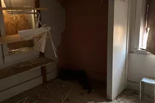 600 W 3rd St, Ordway, CO 81063 - Photo 23