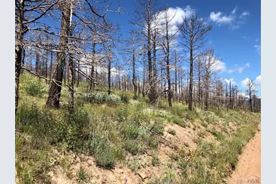 323 Wagon Mesa Loop, Fort Garland, CO 81133 - Photo 5