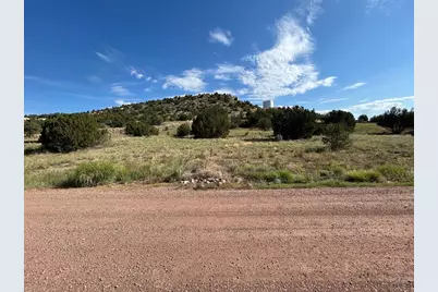 110 Hideaway Trail, Rockvale, CO 81244 - Photo 9