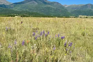 5151 Co Rd 160, Westcliffe, CO 81252 - Photo 1