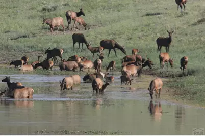 850 Rilling Canyon Rd, La Veta, CO 81055 - Photo 33