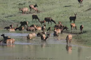 850 Rilling Canyon Rd, La Veta, CO 81055 - Photo 33