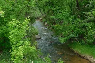 8988 Grand Ave, Beulah, CO 81023 - Photo 17