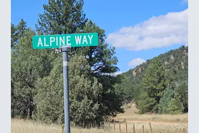 73 Alpine Way, Cotopaxi, CO 81223 - Photo 3