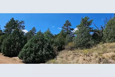 73 Alpine Way, Cotopaxi, CO 81223 - Photo 1