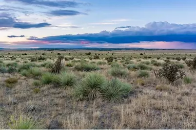 Lot #232 Turkey Ridge Ranch, Walsenburg, CO 81089 - Photo 5