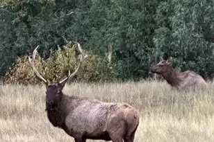 33001 Oak Way, Trinidad, CO 81082 - Photo 53
