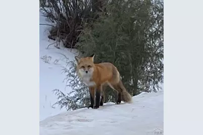 33001 Oak Way, Trinidad, CO 81082 - Photo 57