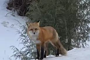 33001 Oak Way, Trinidad, CO 81082 - Photo 57