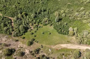 33001 Oak Way, Trinidad, CO 81082 - Photo 55