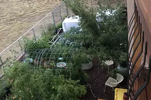 8419 3 R Rd, Beulah, CO 81023 - Photo 37