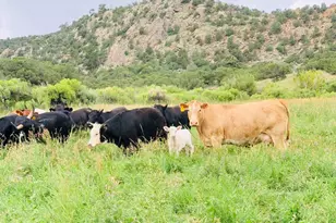 640 County Rd 571, Gardner, CO 81040 - Photo 45