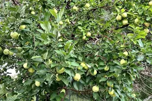 640 County Rd 571, Gardner, CO 81040 - Photo 43