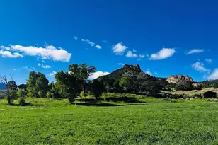 640 County Rd 571, Gardner, CO 81040 - Photo 41