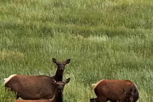 640 County Rd 571, Gardner, CO 81040 - Photo 15