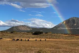 640 County Rd 571, Gardner, CO 81040 - Photo 39