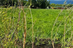 640 County Rd 571, Gardner, CO 81040 - Photo 7