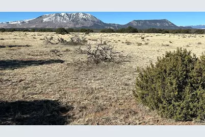 Lot 62 Colorado Land and Grazing, Gardner, CO 81040 - Photo 1